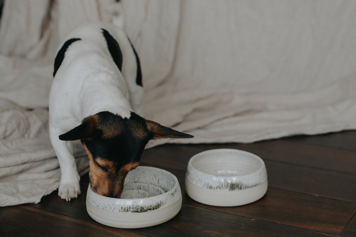 Medium size pet bowls