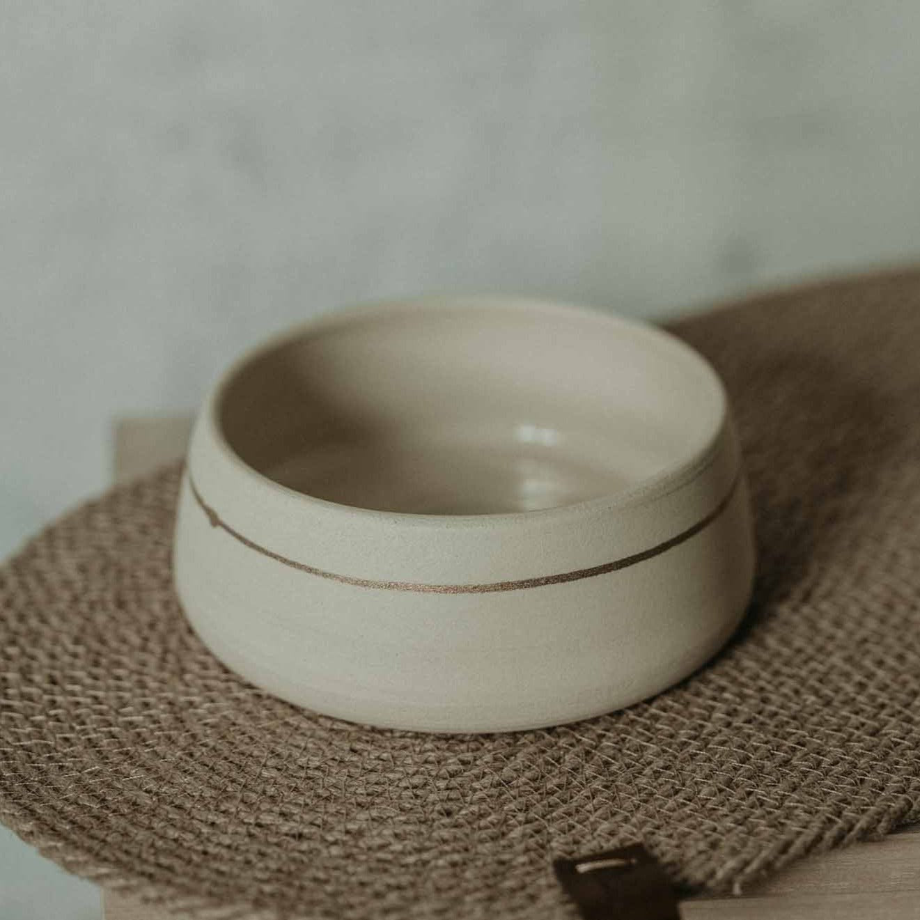 White ceramic dog bowl with golden accent