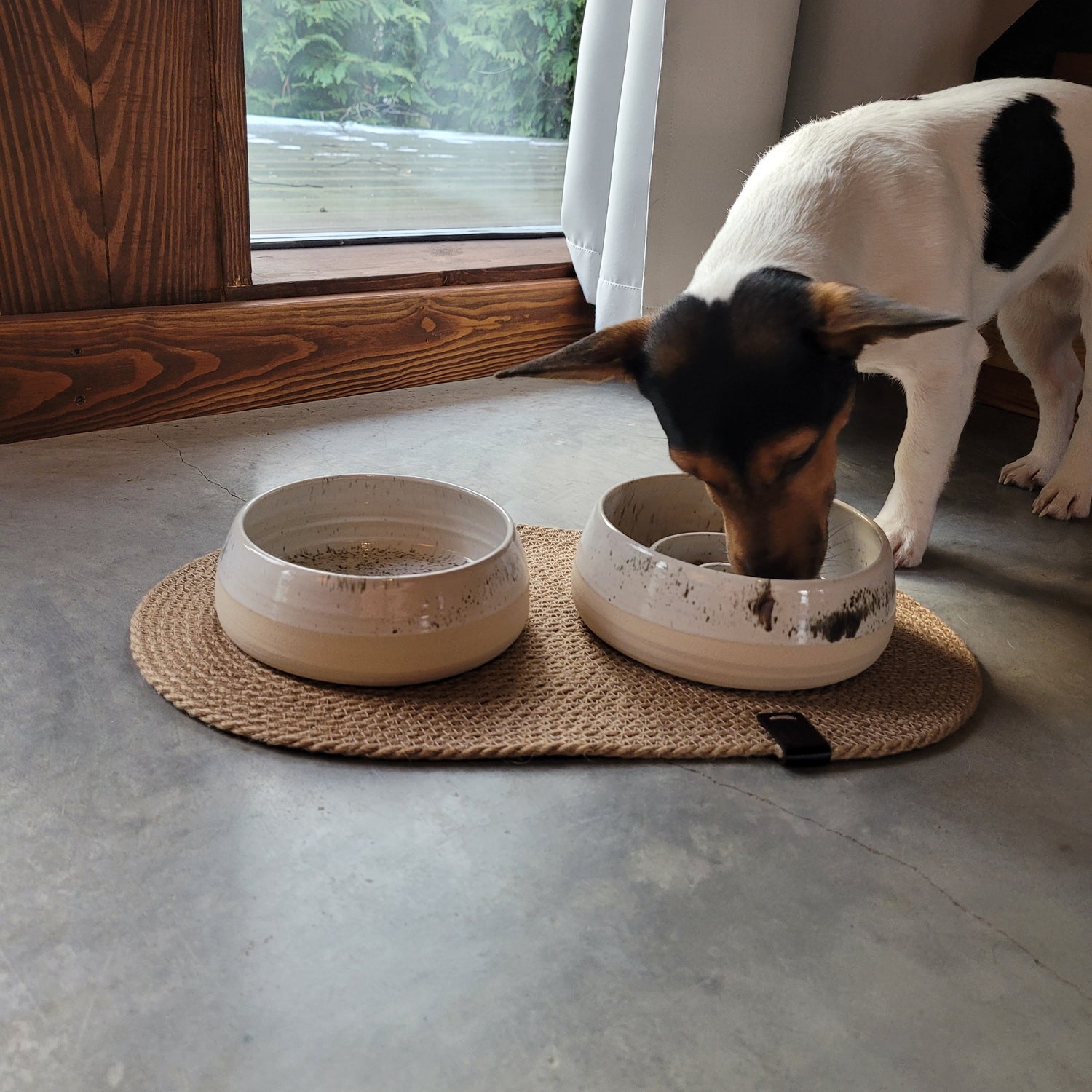 Ceramic Pet Bowl Gucci dog bowls,LV cat feeds dog accessories