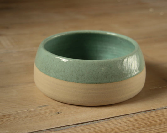 Teal green dog bowl