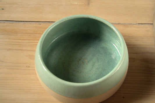 Teal green dog bowl