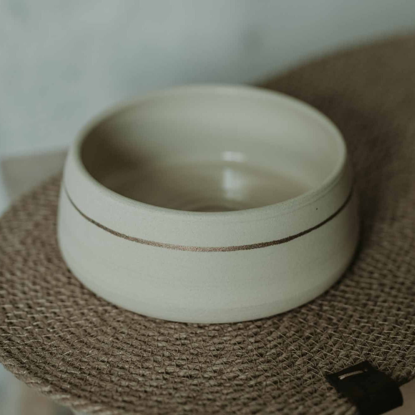 White ceramic dog bowl with golden accent