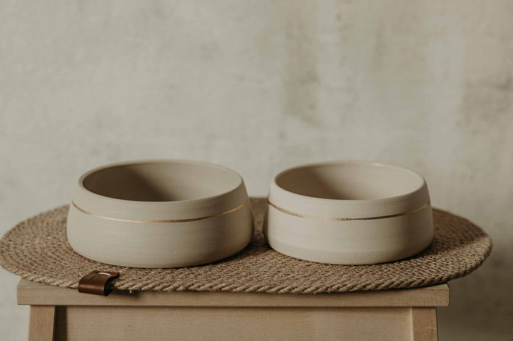 Stoneware dog outlet bowls