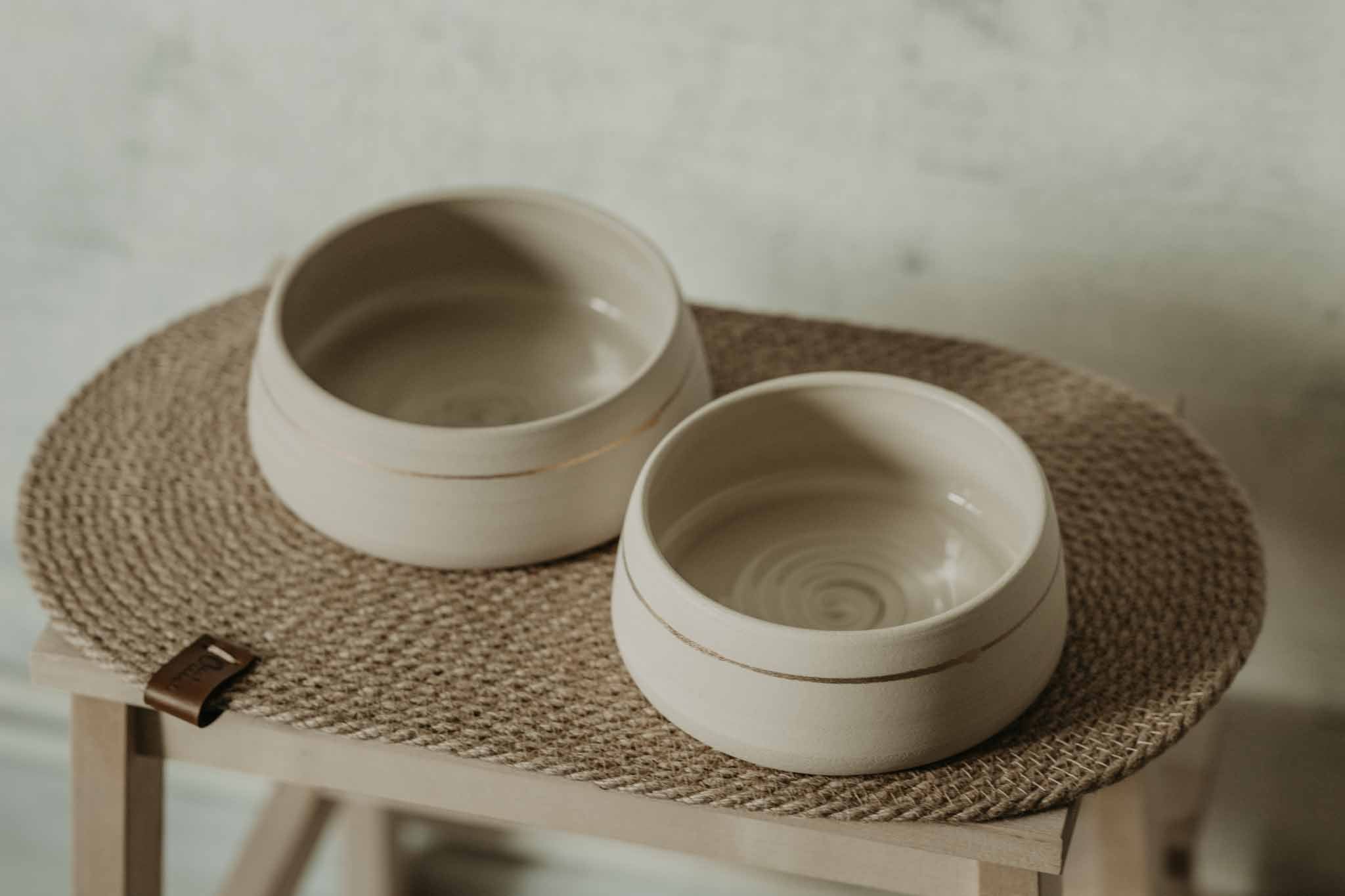 Stoneware 2025 pet bowls