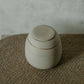Cream white and gold pet urn. Ready to Ship. Small size (up to 9kg pets)