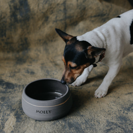 Handmade ceramic dog bowl - Gray, custom-made, and personalized for your pet.